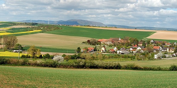 Das Foto zeigt eine Agrarlandschaft in Rheinland-Pfalz