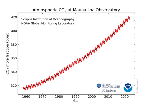 Die Graphik zeigt die Entwicklung des CO2-Gehalts in der Atmosphäre, gemessen am Mount Mauna Loa auf Hawaii