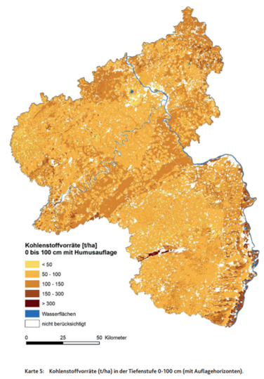 Die Karte zeigt die Kohlenstoffvorräte rheinland-pfälzischer Böden auf der räumlichen Grundlage der Bodenübersichtskarte 1:50.000 (BK50) für die Tiefenstufe 0 bis 30 cm + Auflagehumus.