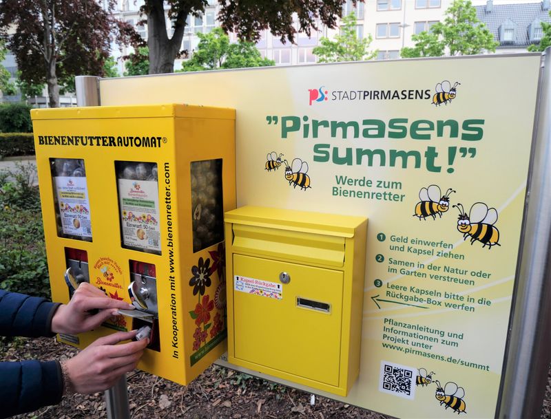 Das Foto zeigt einen umgerüsteten Kaugummi-Automaten für Blumensamen
