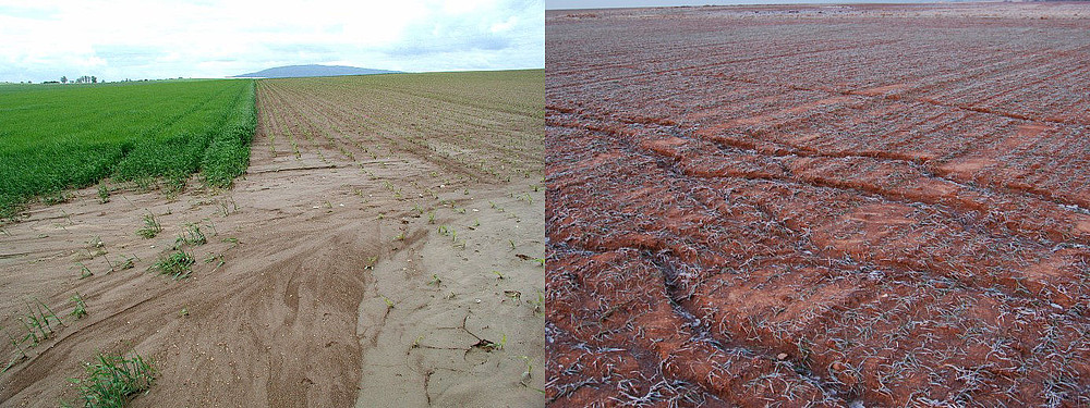 Flächen- und linienhafte Erosion auf Ackerflächen 