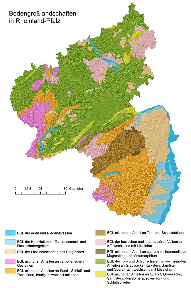Die Karte zeigt die Bodengroßlandschaften von Rheinland-Pfalz